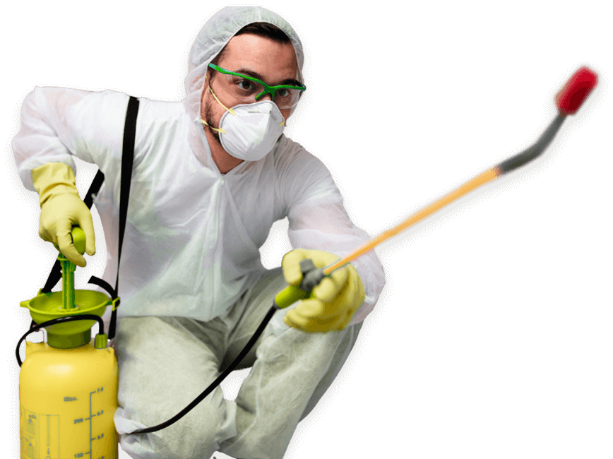 disinfestatore cimici dei letti