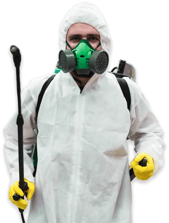 tecnico disinfestatore cimici